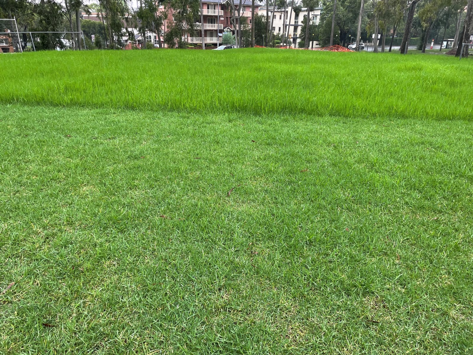 Primo HG Turf Growth Regulator - Image 2