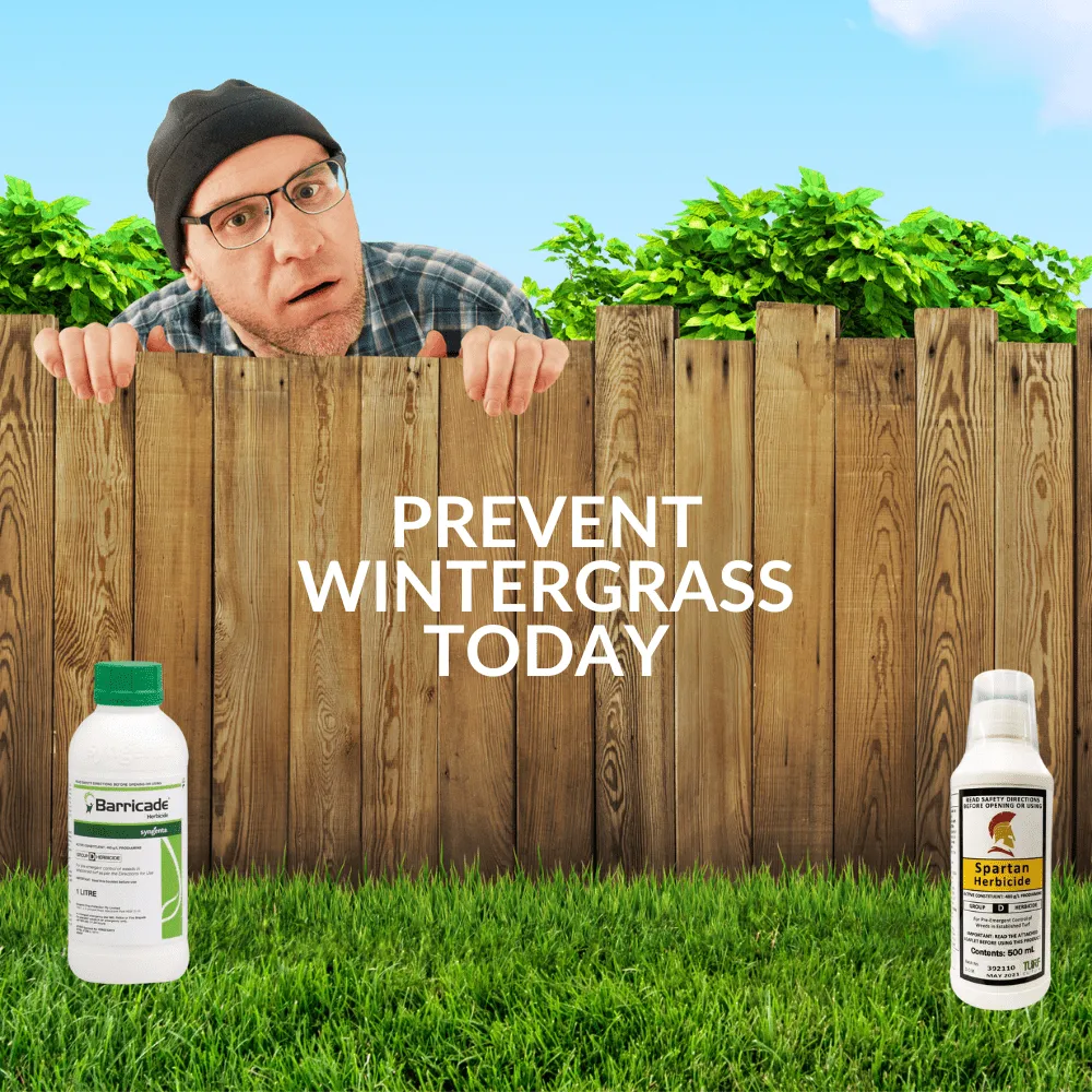 A Guide To Pre-emergent Herbicides And How They Work - The Lawn Shed