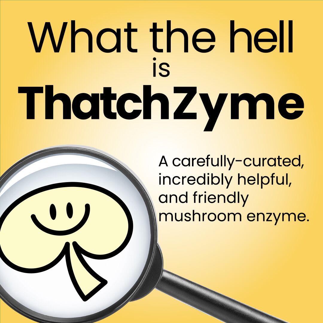 LawnPlay Thatchzyme - Image 4