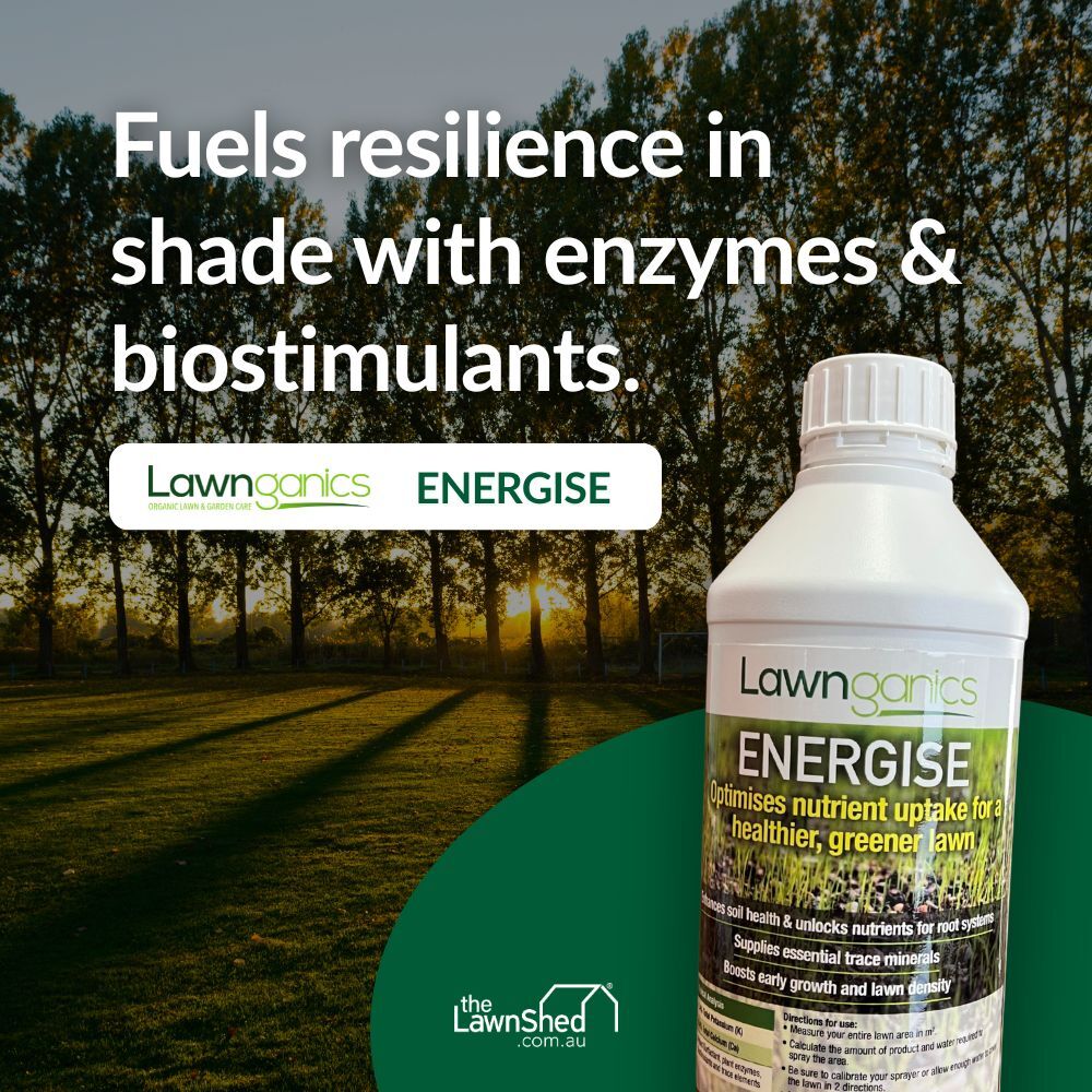 Lawnganics Energise Lawn Fertiliser
