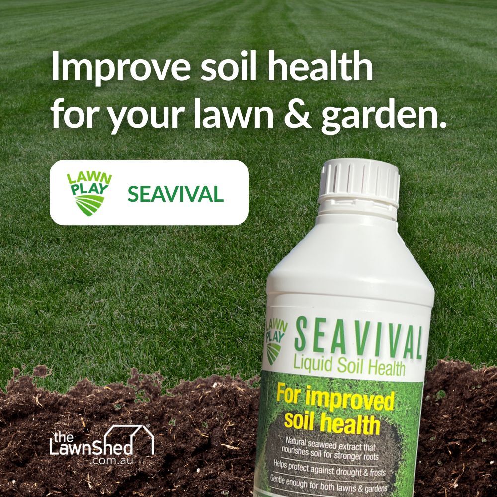 Lawn Play Seavival Concentrated Seaweed Solution