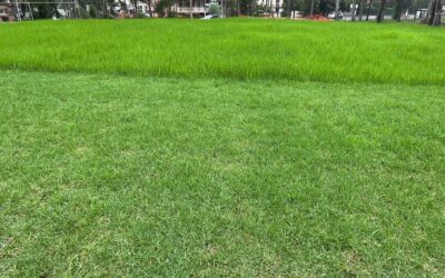 How to Reduce Linemarking Reapplication