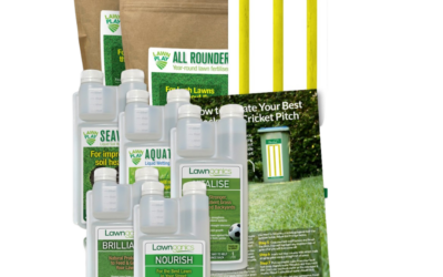 Best Lawn Care Products