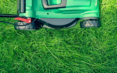 Lawn Care 101: Our Top Tips on How to Care for Your Lawn
