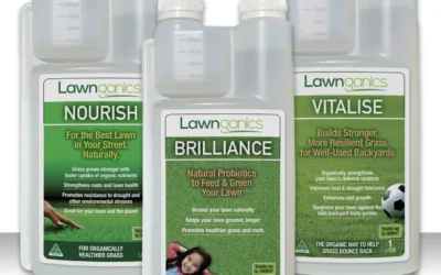 The Benefits of Liquid Fertilisers – When, Why and How to Use Them