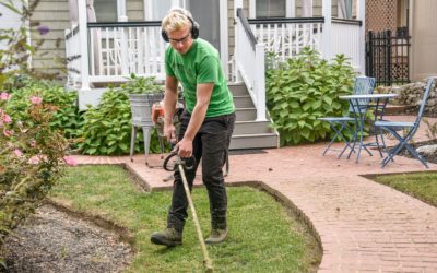How To Prevent Brown Patches On Your Lawn
