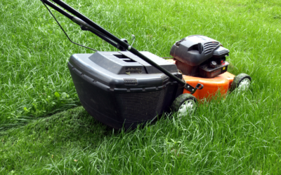 What is a plant growth regulator and why you need it for your lawn