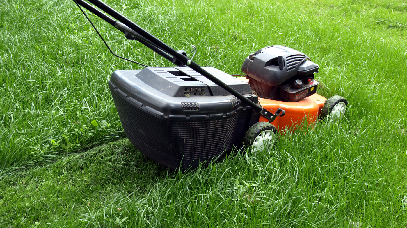Use a growth regulator so you don't have to mow so often.
