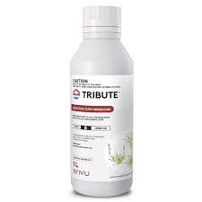 tribute herbicide couch