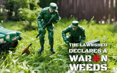 Lawn Weed Guide 101: Essential Guide to Tackling Unwanted Weeds 