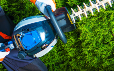 How to Master Hedge Maintenance with Trimmit Growth Regulator