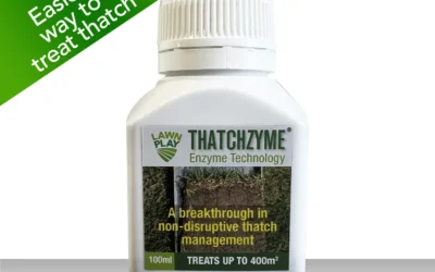 Tackling Lawn Thatch Problems: How to Minimise Renovation with Smart Solutions