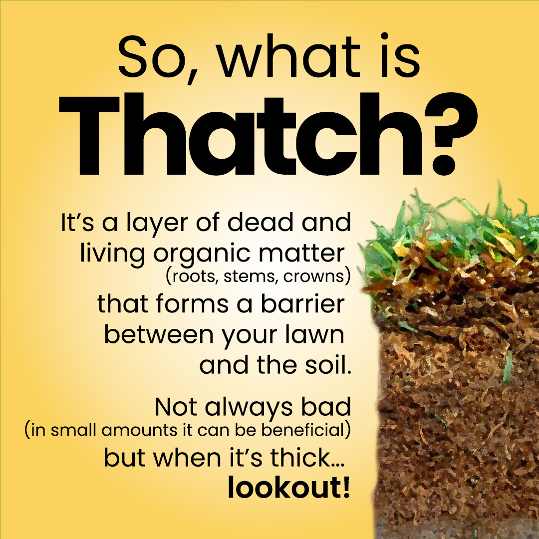 LawnPlay Thatchzyme - Image 2