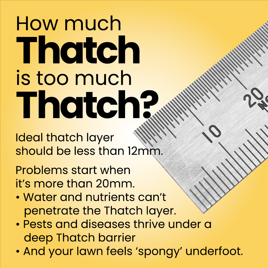 LawnPlay Thatchzyme - Image 3