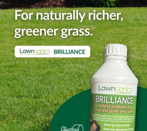Lawnganics Brilliance Lawn Fertiliser