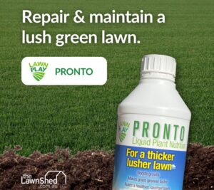 Lawn Play Pronto Lawn Fertiliser