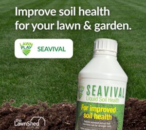 Lawn Play Seavival Concentrated Seaweed Solution