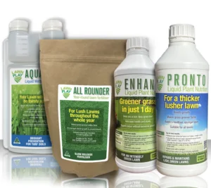 Backyard Sportsground Pack